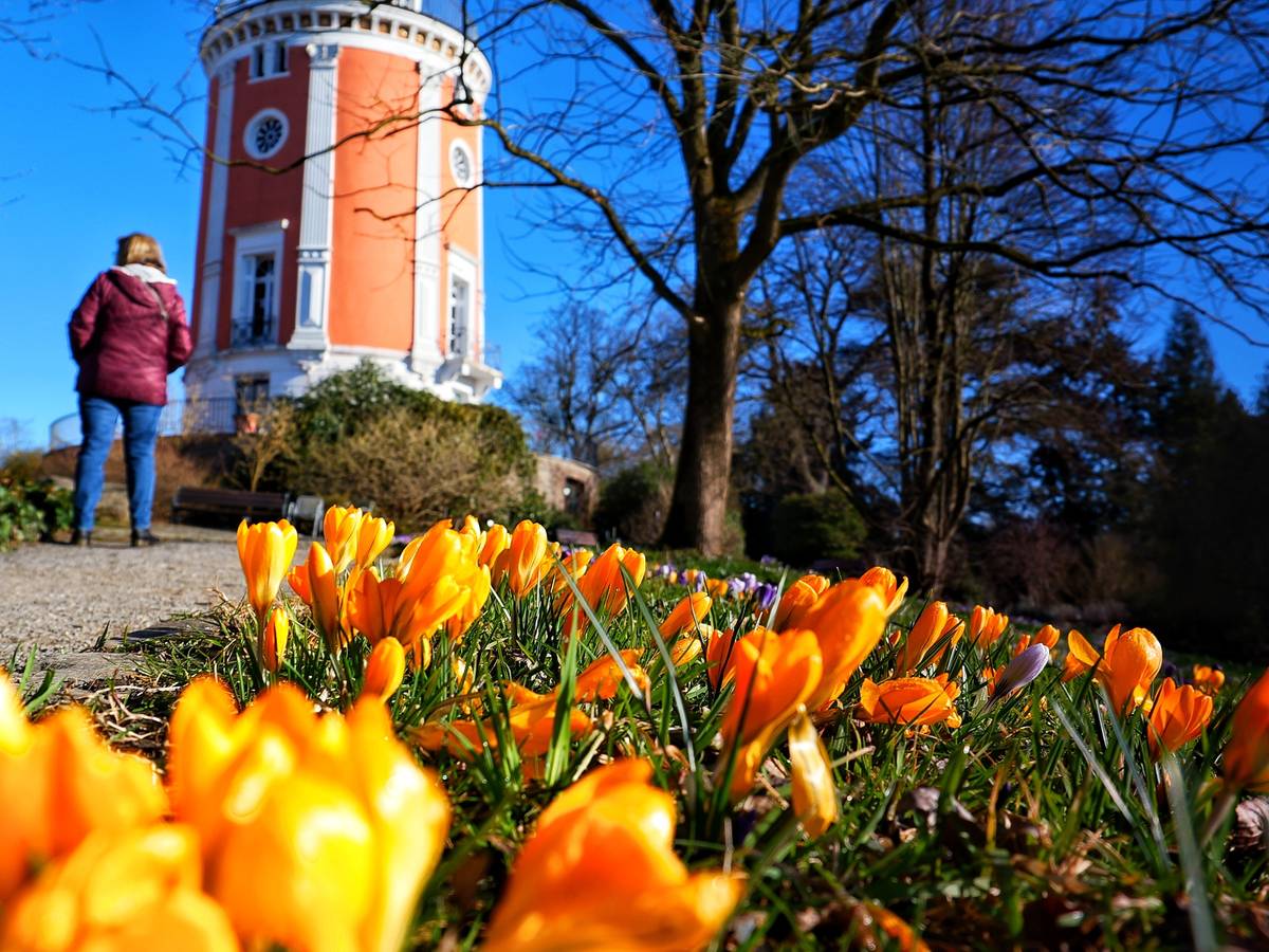 Freiwilliges ökologisches Jahr: Botanischer Garten bietet Stellen an