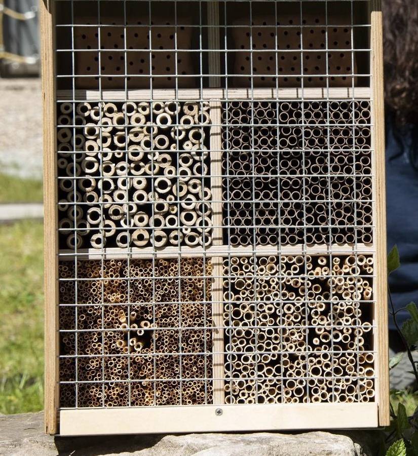 50 Wildbienenhotels für Kitas und Grundschulen