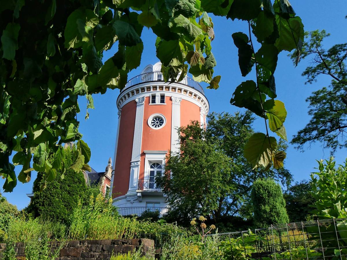 Sommer auf der Hardt
